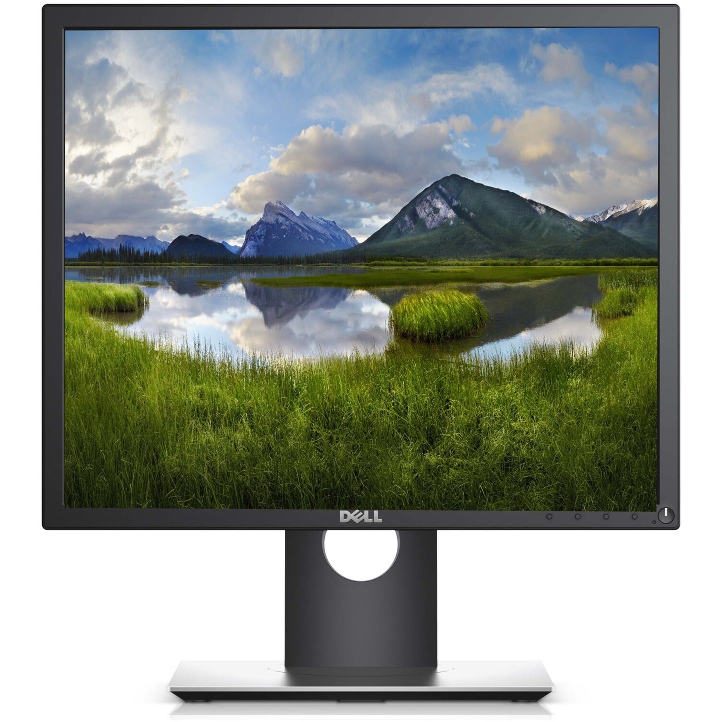 Dell 17" Monitor #900SE